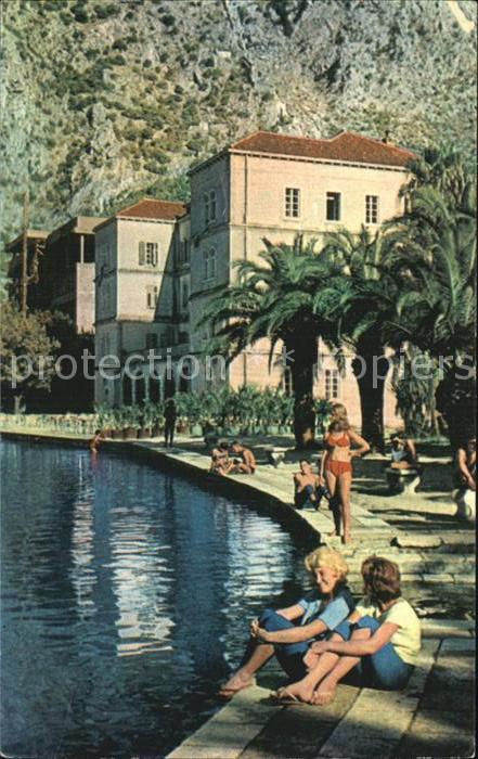 Kotor Montenegro Uferpromenade Palmen