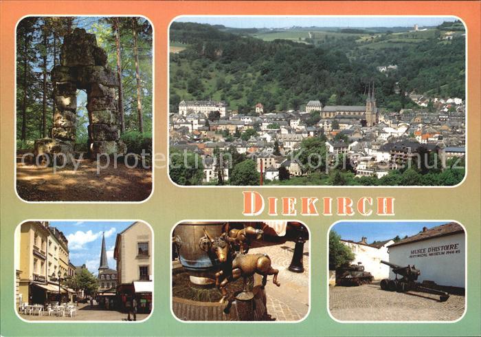 Diekirch Le Deiwelselter Panorama Zone pietonne Fontaine aux Anes Musee historiq