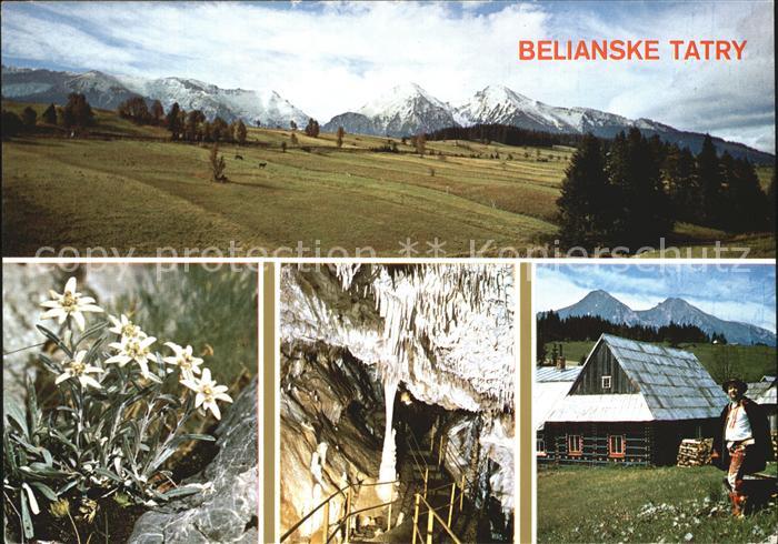 Vysoke Tatry Belianske Tatry Hohe Tatra Edelweiss Hoehle