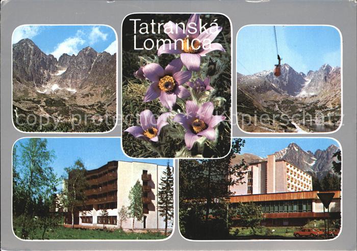 Vysoke Tatry Tatranska Lomnica Bergbahn Gebirgspanorama Hohe Tatry Hotels Blumen