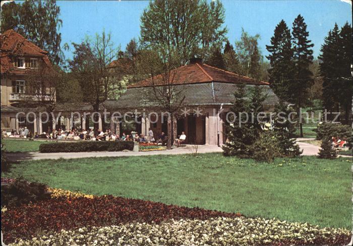 Bad Brambach Radonquelle