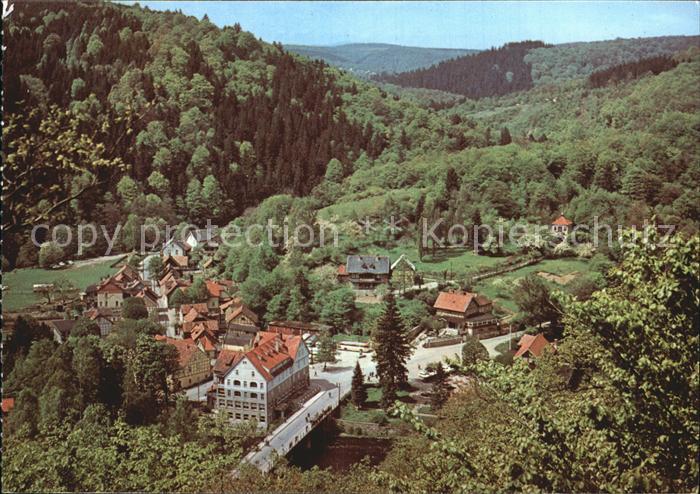 Treseburg Harz Panorama