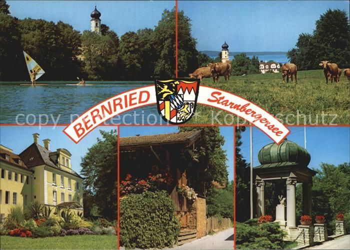 Bernried Starnberger See Teilansichten Viehweide Kuehe Windsurfen