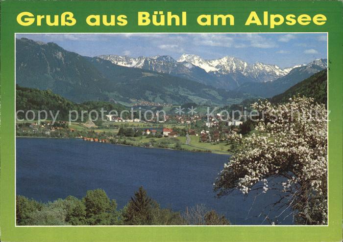 Buehl Alpsee Grosser Alpsee Alpenpanorama Baumbluete