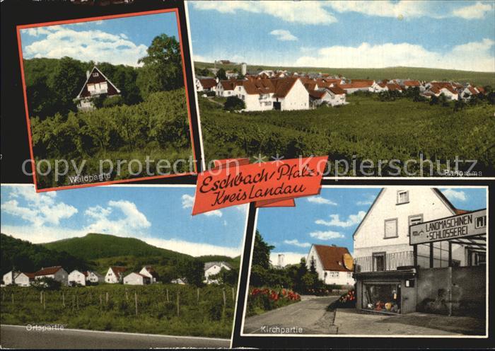 Eschbach Pfalz Waldpartie Panorama Ortspartie