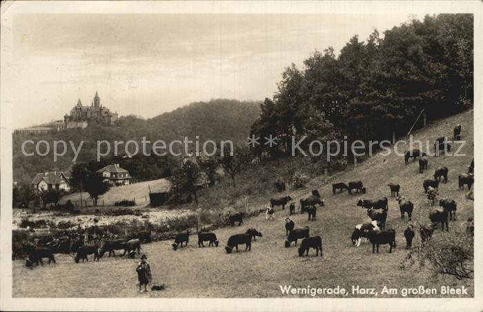 Wernigerode Harz am grossen Bleek