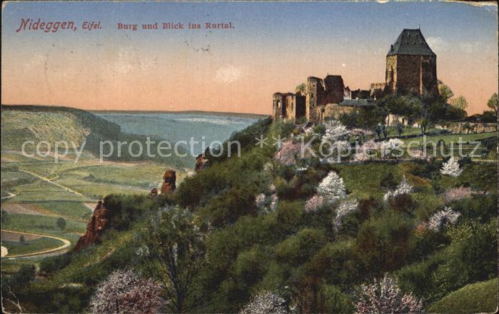 Nideggen Eifel Burg mit Blick ins Rurtal