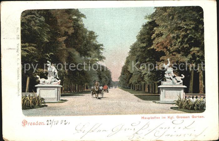 DRESDEN Elbe Hauptallee mit Grossen Garten