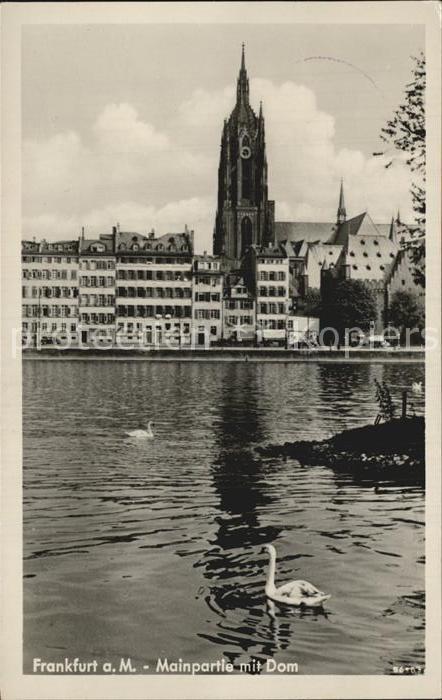 Frankfurt Main Mainpartie mit Dom