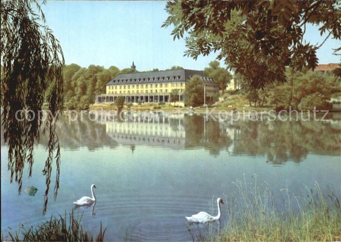 Bad Salzungen Kurhaus am Burgsee Schwaene