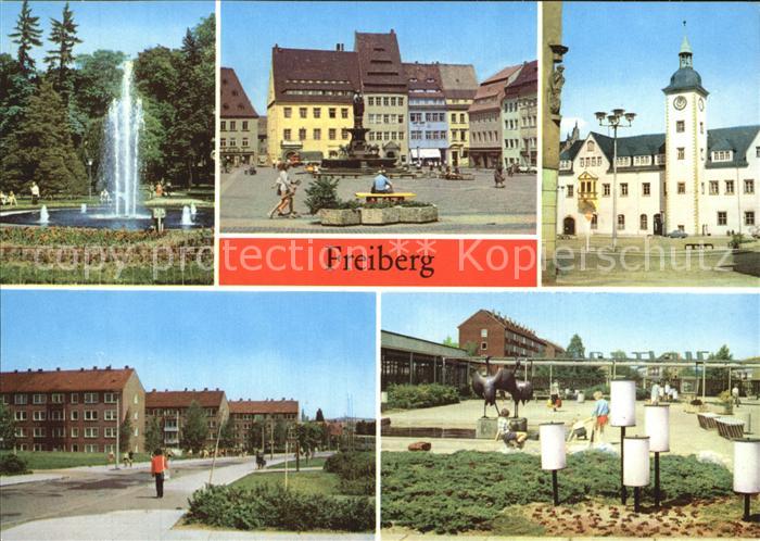 Freiberg Sachsen Scheringerpark Obermarkt Rathaus