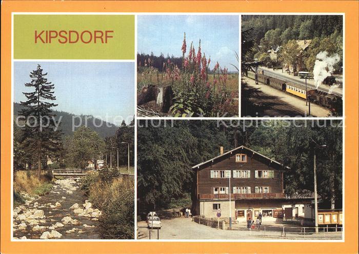 Kipsdorf an der Roten Weisseritz Schmalspurbahn Bunte Truhe