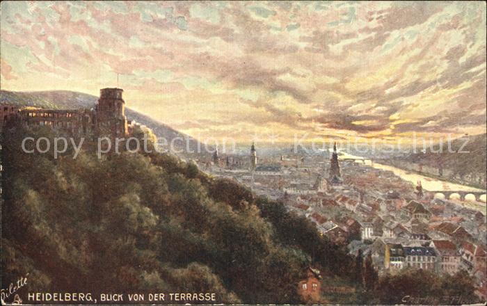 Heidelberg Neckar Blick von der Terrasse