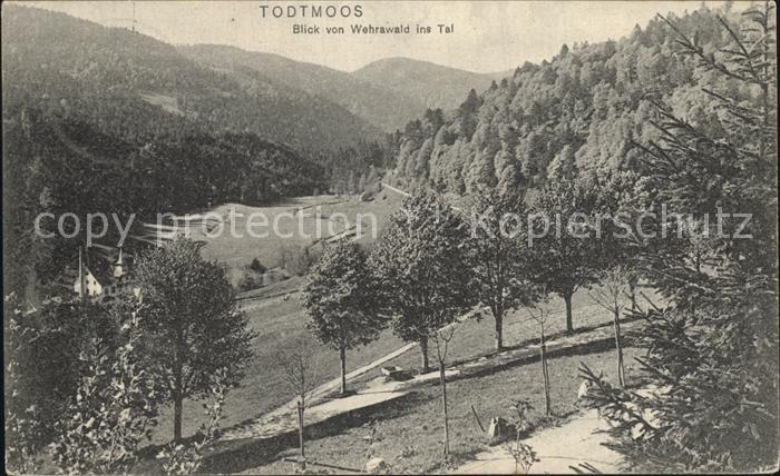 Todtmoos Schwarzwald BW Panorama