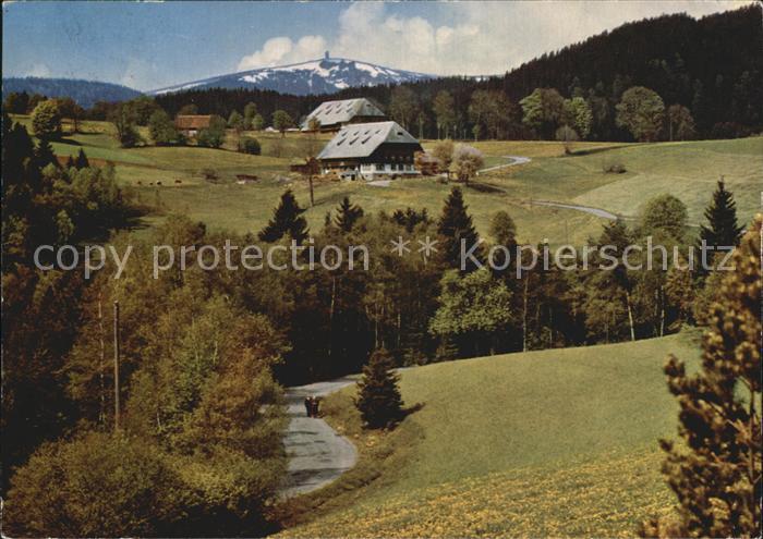 Hinterzarten Breisgau-Hochschwarzwald BW Blick zum Feldberg