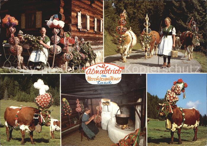 Kuehe Almabtrieb Berchtesgaden