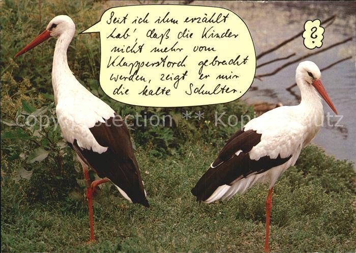 Storch Humor