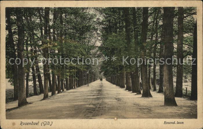 Rosendaal Landgoed Rosendael Baumallee