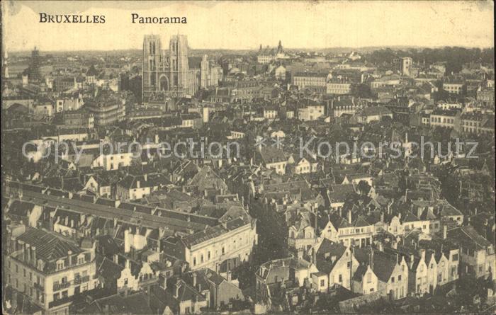 Bruxelles Bruessel Panorama Cathedrale