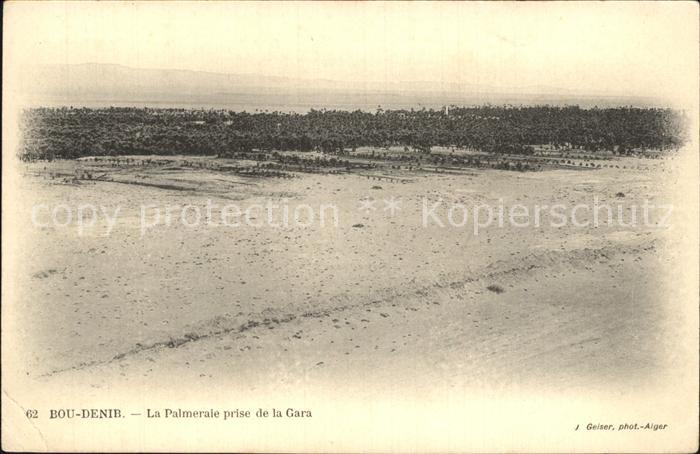 Bou Denib La Palmeraie prise de la Gara Palmenhai