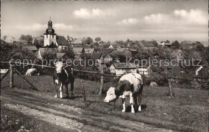 Vielbrunn Ortsansicht mit Kirche Hoehenluftkurort Kuehe