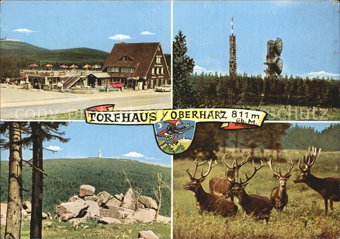 Torfhaus Harz Sporthotel Brockenblick Aussichtspunkt Sendeturm Rotwild Hirsche