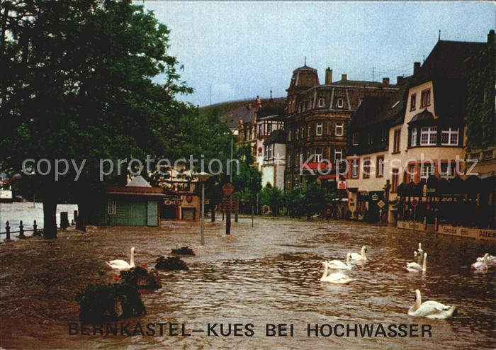 BERNKASTEL-KUES Berncastel Rheinland-Pfalz Moselufer bei Hochwasser Schwaene Kat