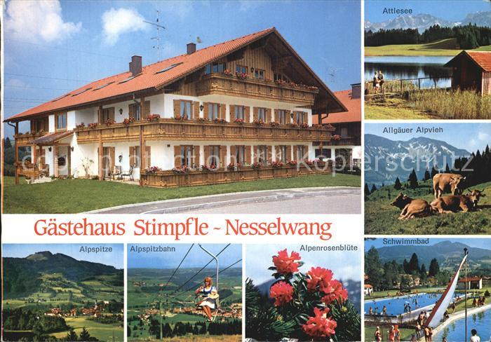 Nesselwang Allgaeu Bayern Gaestehaus Stimpfle Attlesee Allgaeuer Alpvieh Schwim