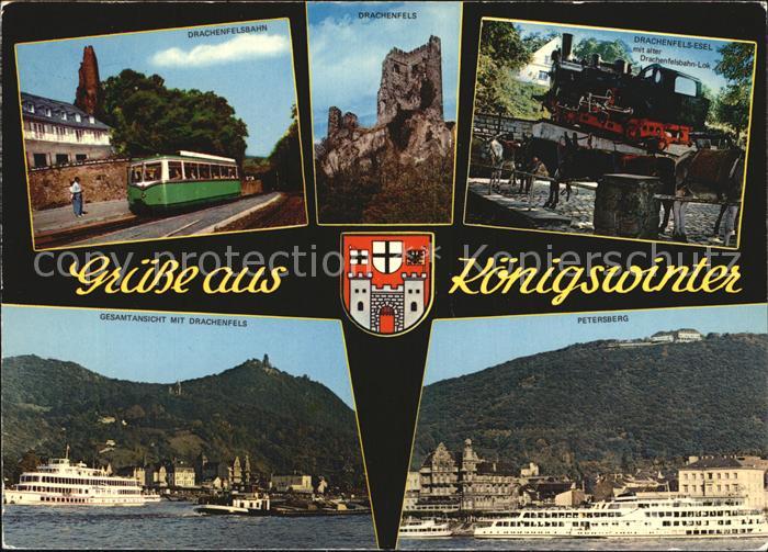 Koenigswinter Drachenfels Esel Drachenfelsbahn Gesamtansicht mit Drachenfels