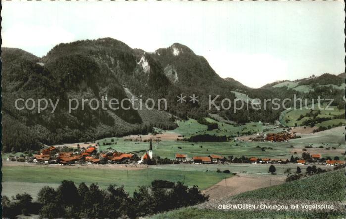 Oberwoessen mit Vogelspitze