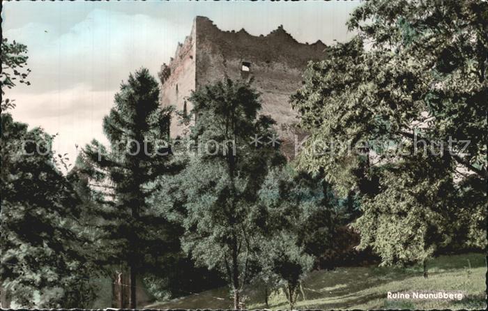 Neunussberg Ruine Neunussberg