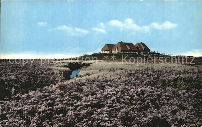 Halligen Nordsee Bluehende Hallig