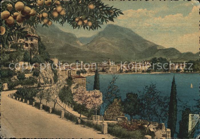 Riva del Garda Panorama