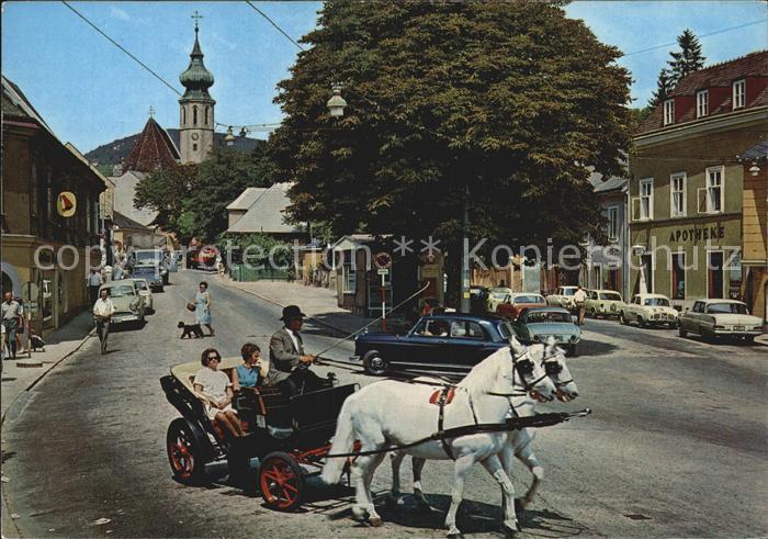 Grinzing Wien Himmelstrasse Pferdekutsche