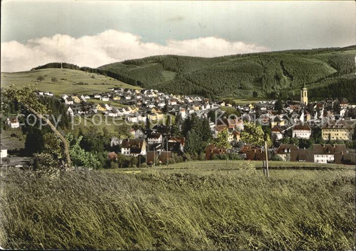 Neustadt Schwarzwald Stadtblick