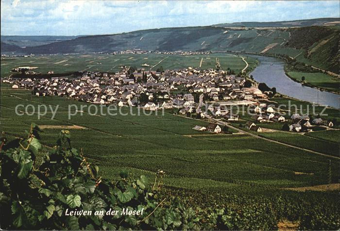 Leiwen Trier-Saarburg Panorama Moselpartie