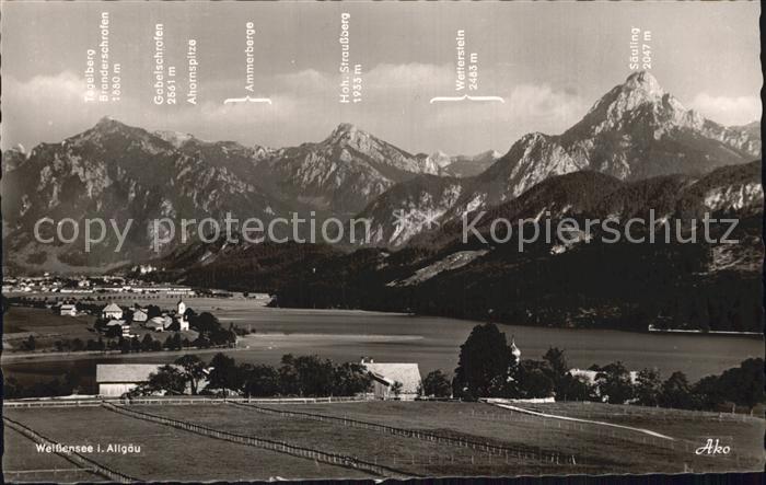 Weissensee Fuessen Panorama mit Allgaeuer Alpen
