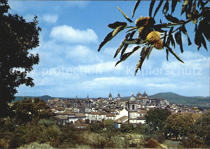 Viseu Panorama