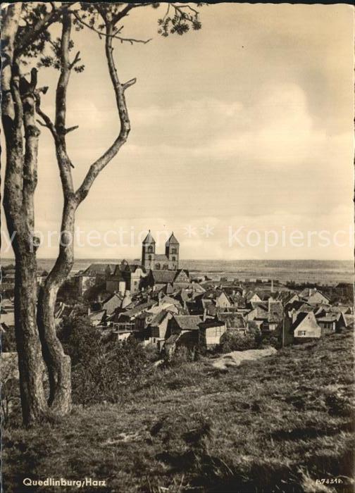 Quedlinburg Harz Panorama Schloss Kirche