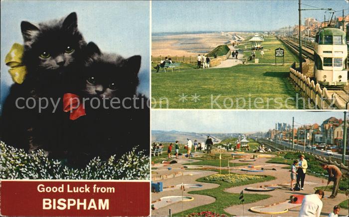 Bispham Mini Golf Queens Promenade