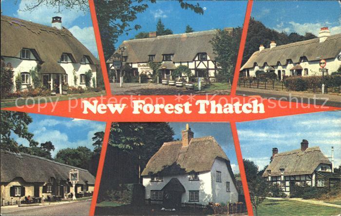 Huntingdon Huntingdonshire New Forest Thatch