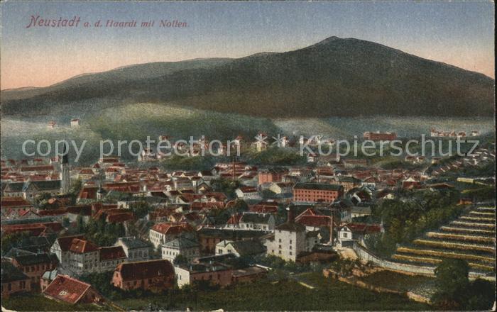 Neustadt Haardt Ortsansicht mit Nollen