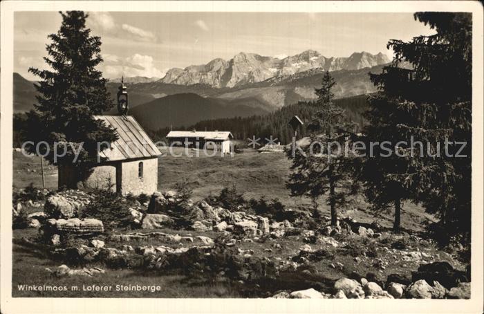 Winkelmoos Winklmoos Loferer Steinberg