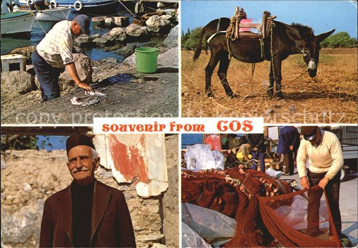 Cos Kos Esel Fischer