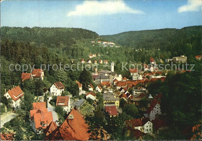 Triberg Schwarzwald Ortsansicht