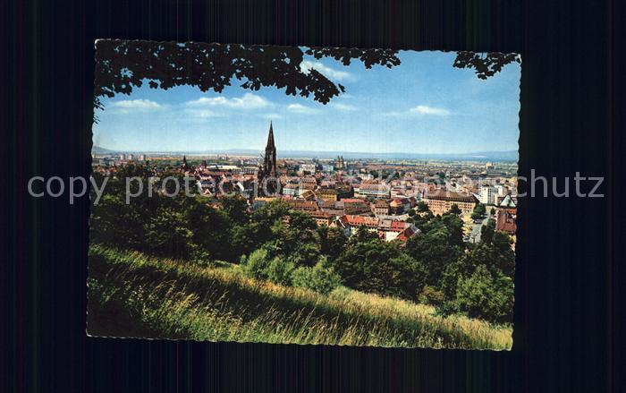 Freiburg Breisgau Panorama