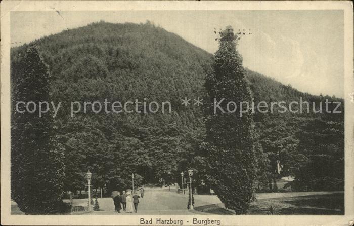 Bad Harzburg Burgberg