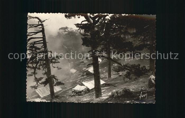 Corse Ile de Col de Bavella Maisons de Bergers