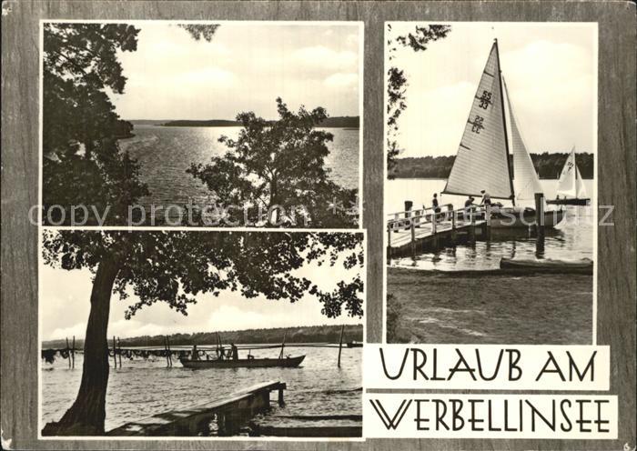 Werbellinsee-Altenhof Partien am See