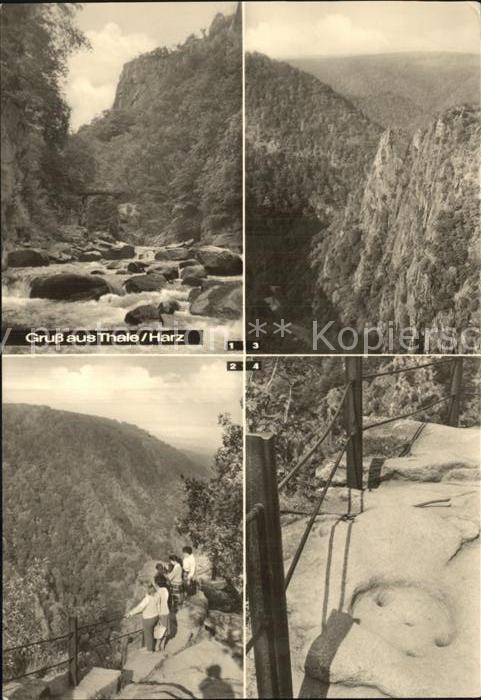 Thale Harz Bodetal Teufelsbruecke Hexentanzplatz Rosstrappe Bodetal